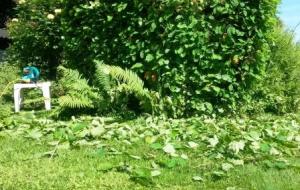 20170601_151803_resized