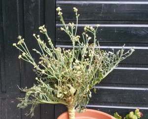 20180930_134647_resized