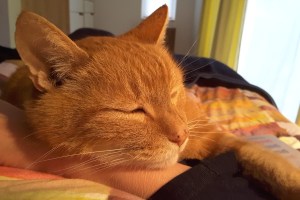 20190313_164742_001_resized