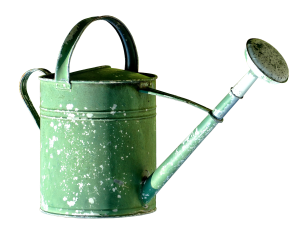 watering-can-2610032_1920
