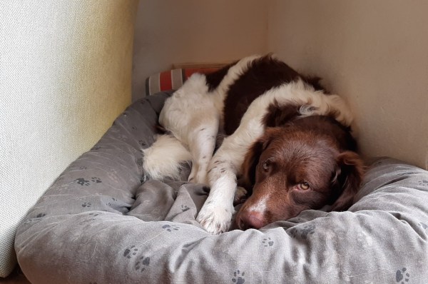 20190821_144701_resized