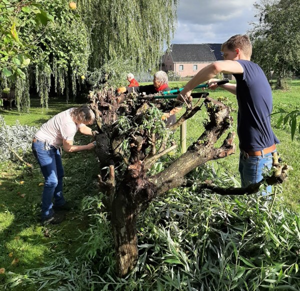 20190907_165401_resized