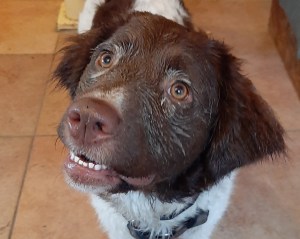 20191128_102359_resized