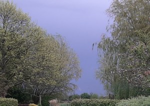 20200501_080946_resized