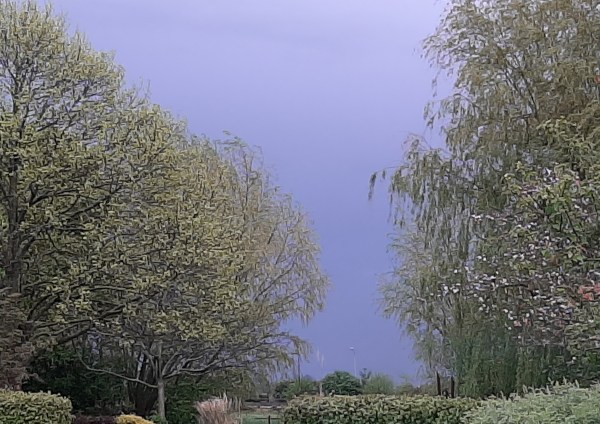 20200501_080946_resized