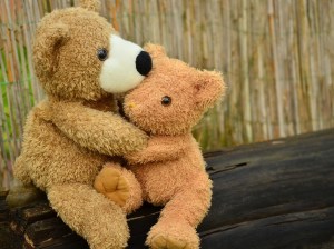 teddy-1113160_1920 (3)