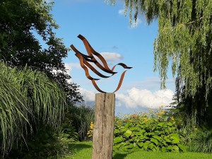 20200715_194921_resized